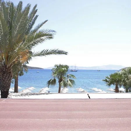 فندق Toloman بيتيس