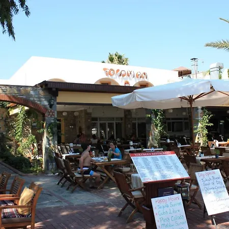 Ξενοδοχείο Toloman 2*