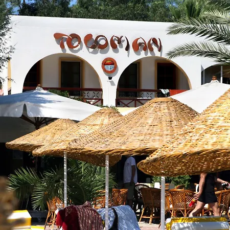 Toloman 2*