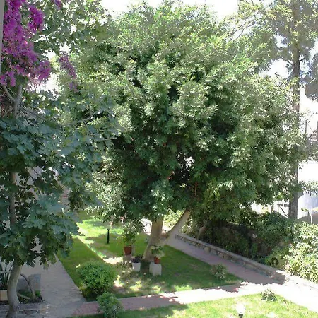 Toloman Hotel 2*