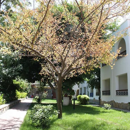 Toloman Ξενοδοχείο 2*