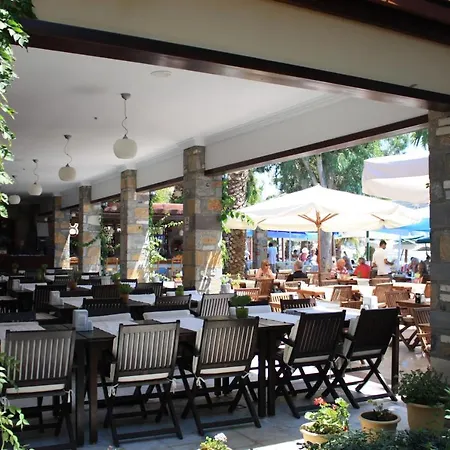 Toloman Hotel 2*