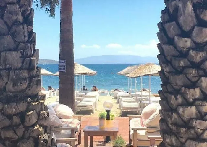 Toloman 호텔 바이즈